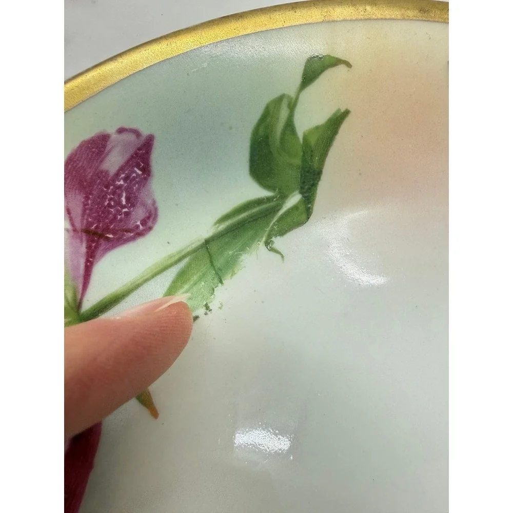 Royal Rudolstadt Porcelain Plate‎